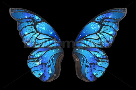 butterfly wings photo background